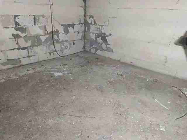 Testing again(7).jpg